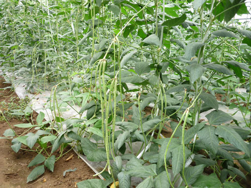 点击在新窗口中打开