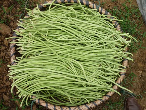 点击在新窗口中打开