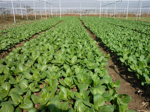 点击在新窗口中打开