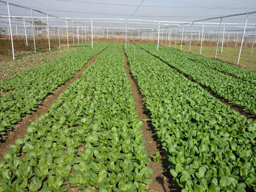 点击在新窗口中打开