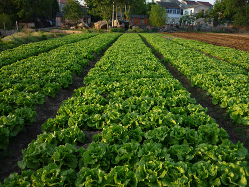 点击在新窗口中打开