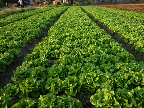 点击在新窗口中打开