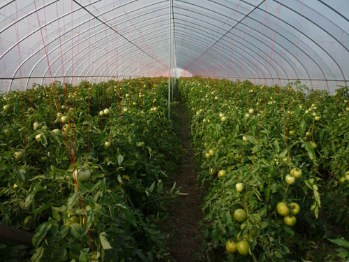 点击在新窗口中打开