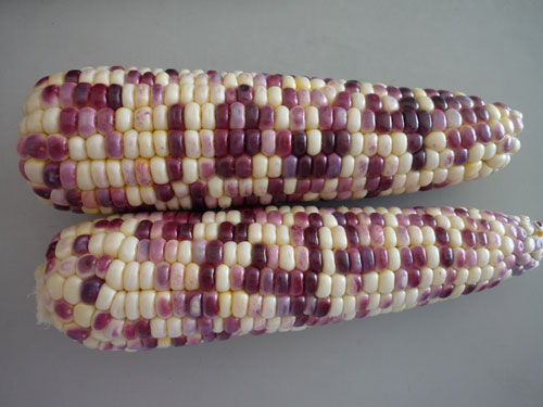 点击在新窗口中打开