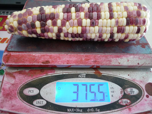 点击在新窗口中打开