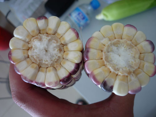 点击在新窗口中打开