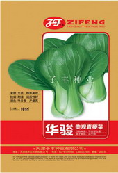 点击在新窗口中打开