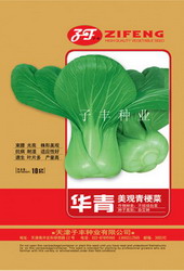 点击在新窗口中打开