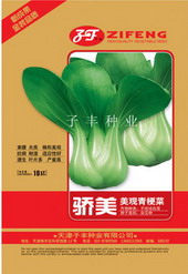 点击在新窗口中打开