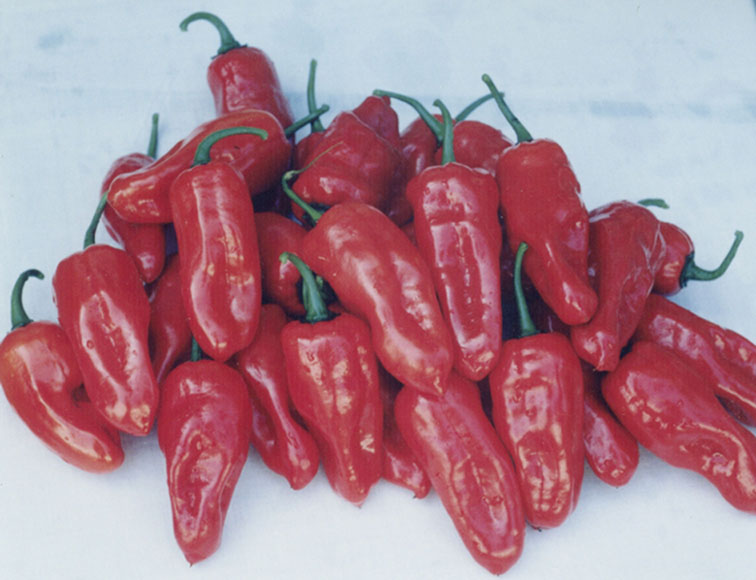 点击在新窗口中打开