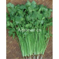 点击在新窗口中打开