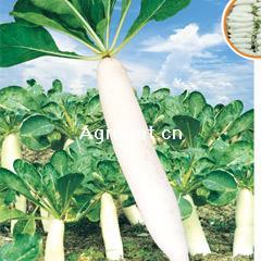 点击在新窗口中打开