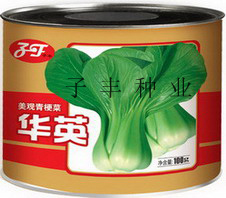 点击在新窗口中打开