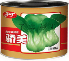 点击在新窗口中打开