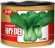 点击在新窗口中打开