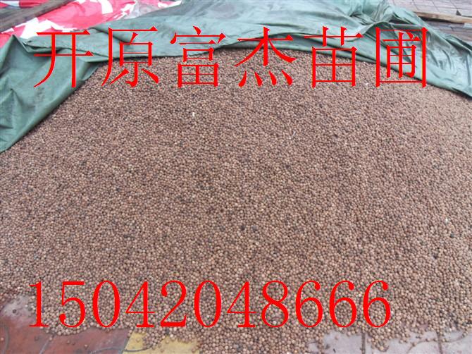 点击在新窗口中打开