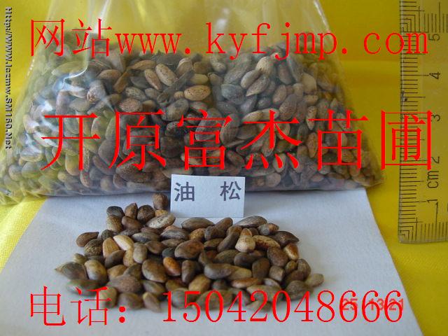 点击在新窗口中打开