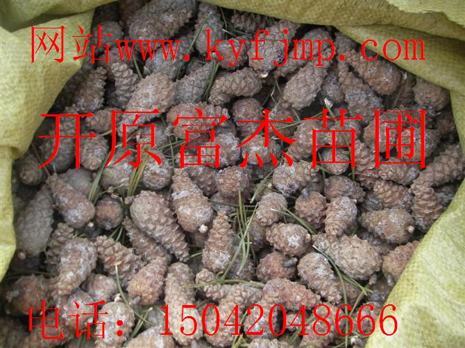 点击在新窗口中打开