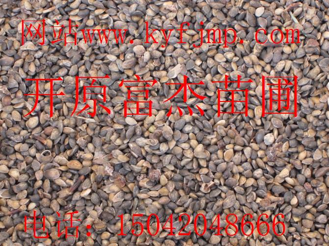 点击在新窗口中打开