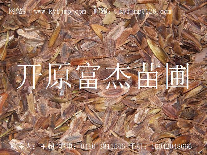 点击在新窗口中打开