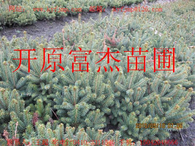 点击在新窗口中打开