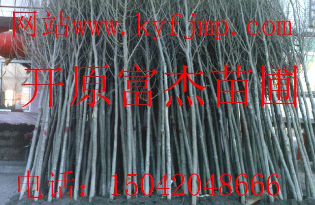 点击在新窗口中打开