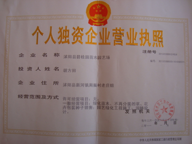 点击在新窗口中打开