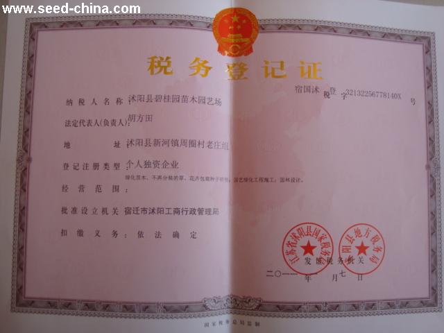 点击在新窗口中打开