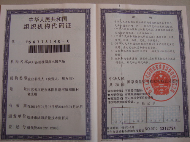 点击在新窗口中打开