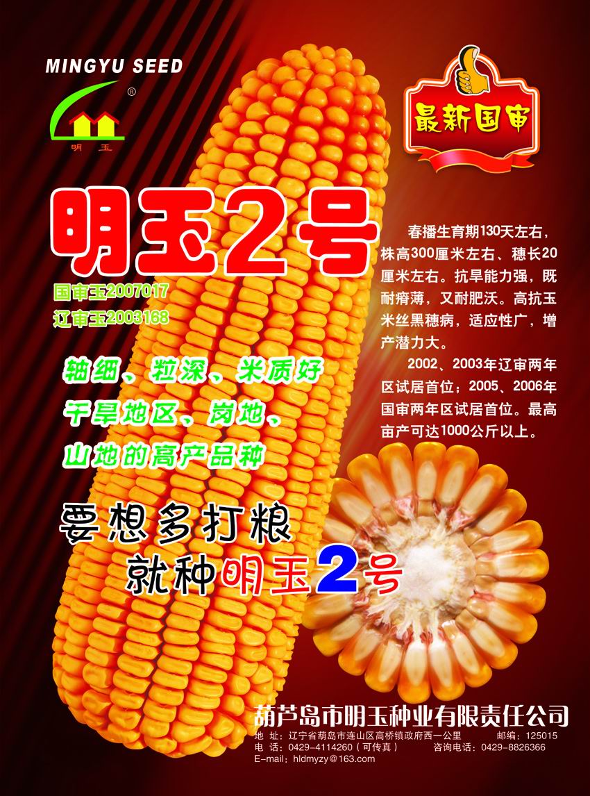 点击在新窗口中打开