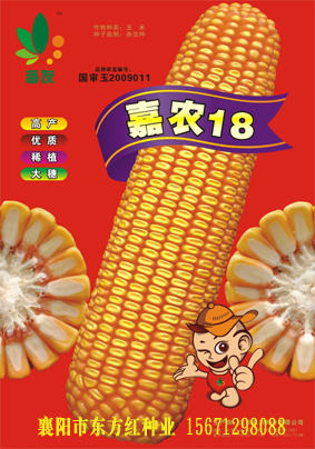 点击在新窗口中打开