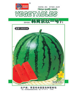 点击在新窗口中打开