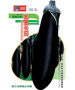 点击在新窗口中打开