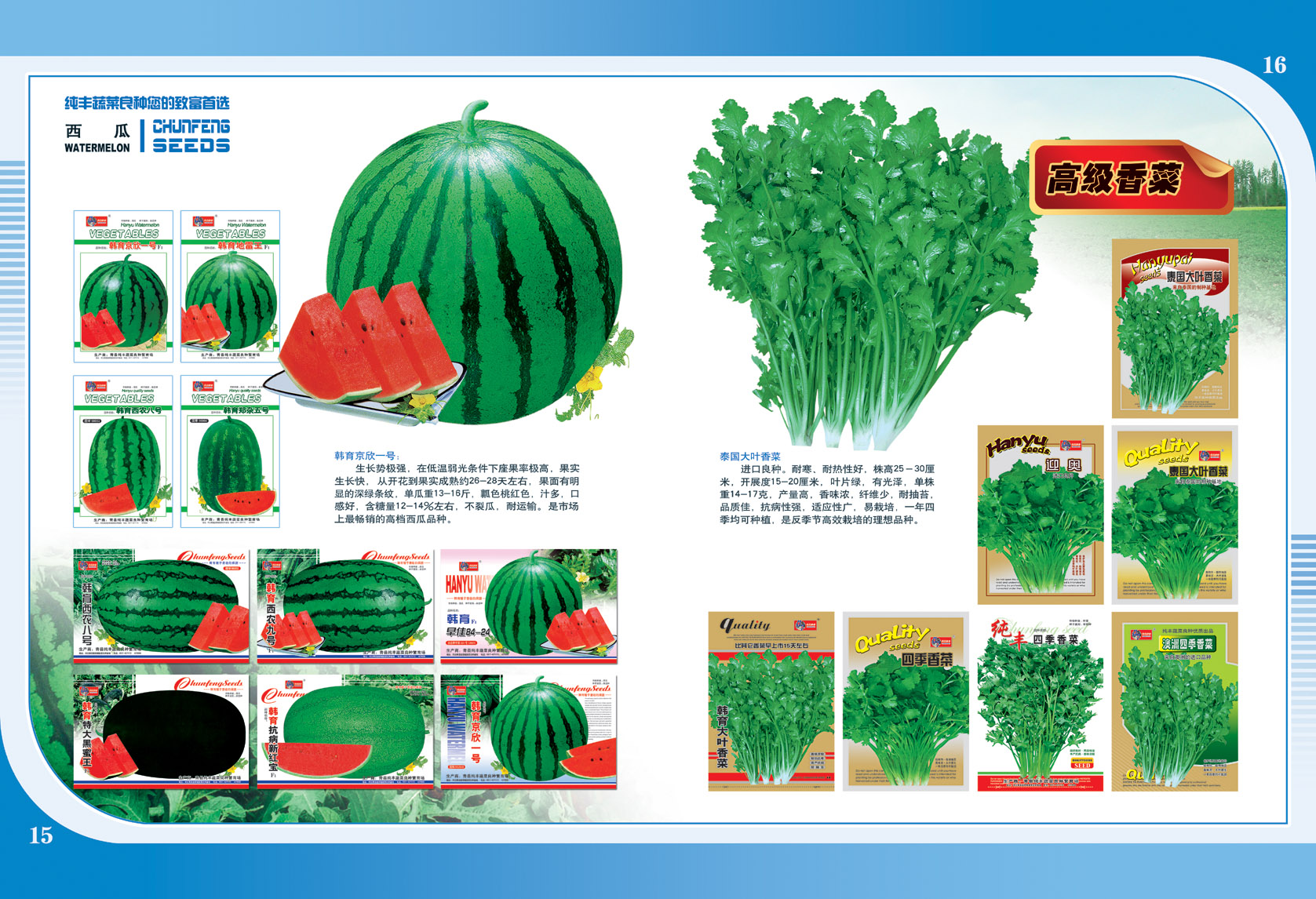 点击在新窗口中打开