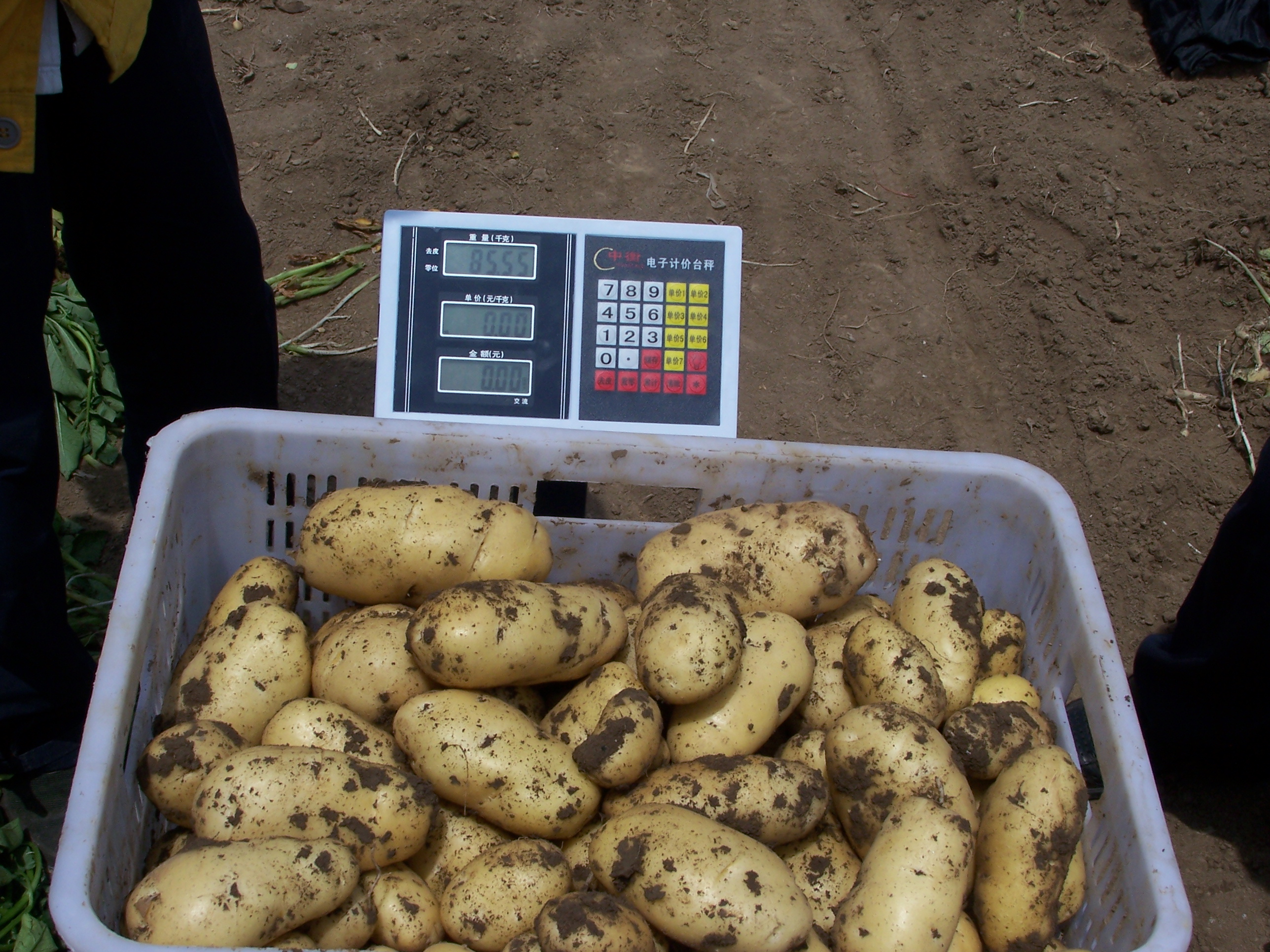 点击在新窗口中打开