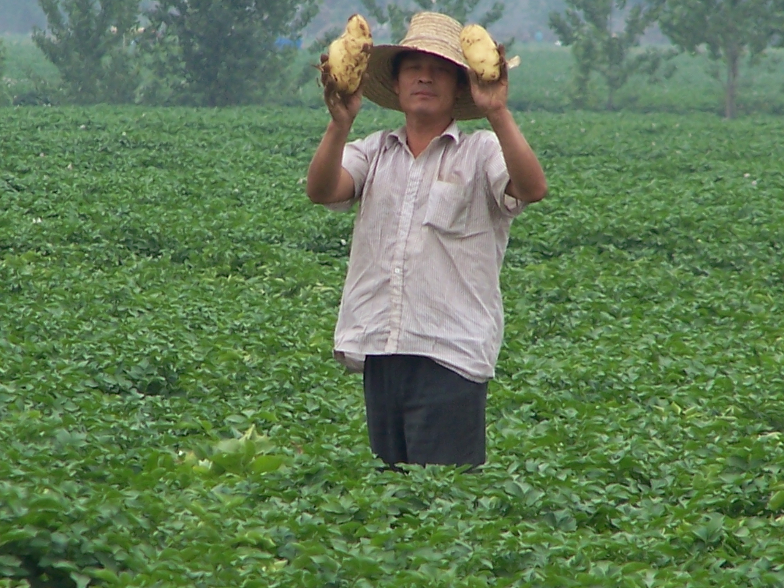 点击在新窗口中打开
