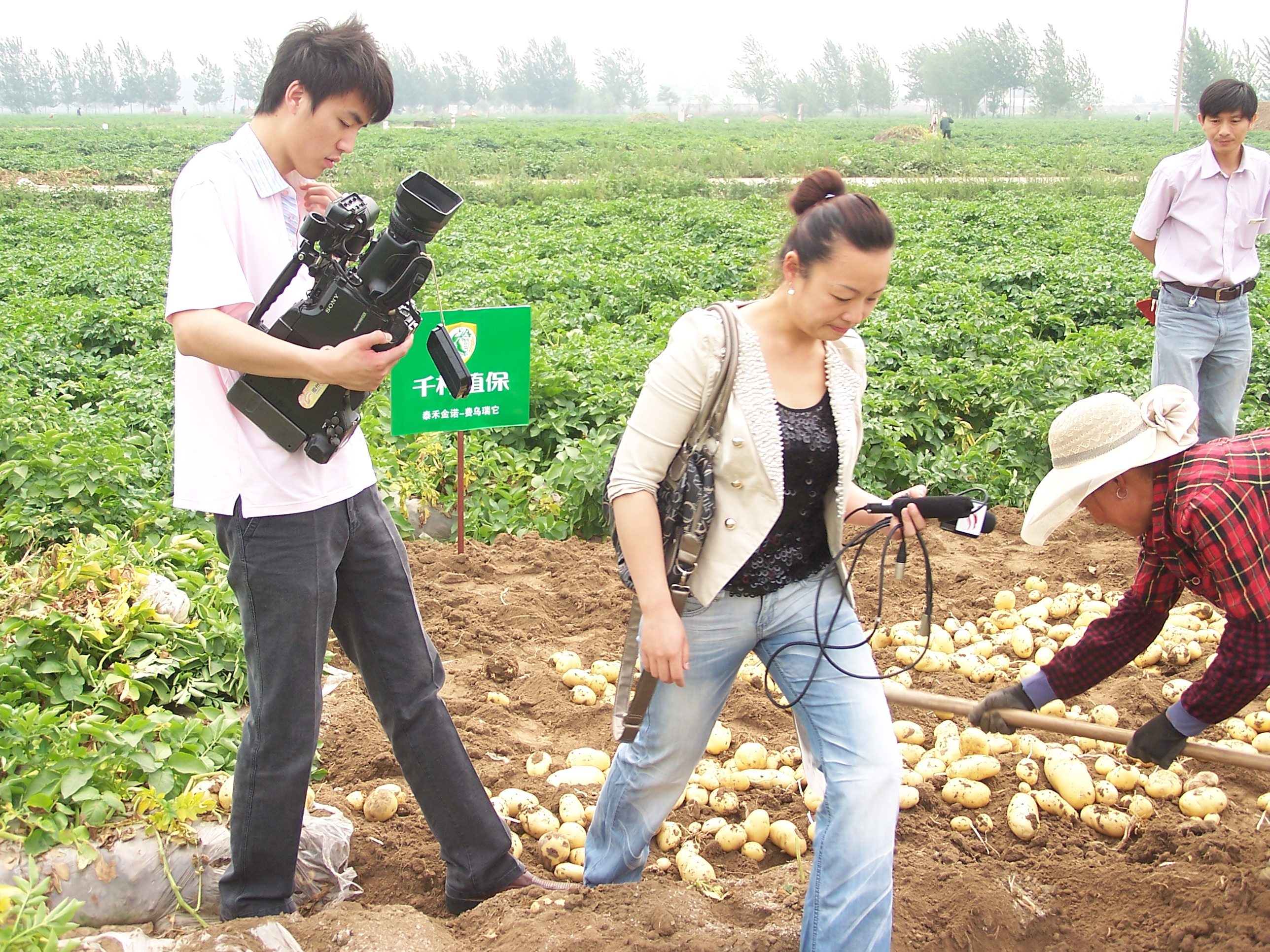 点击在新窗口中打开