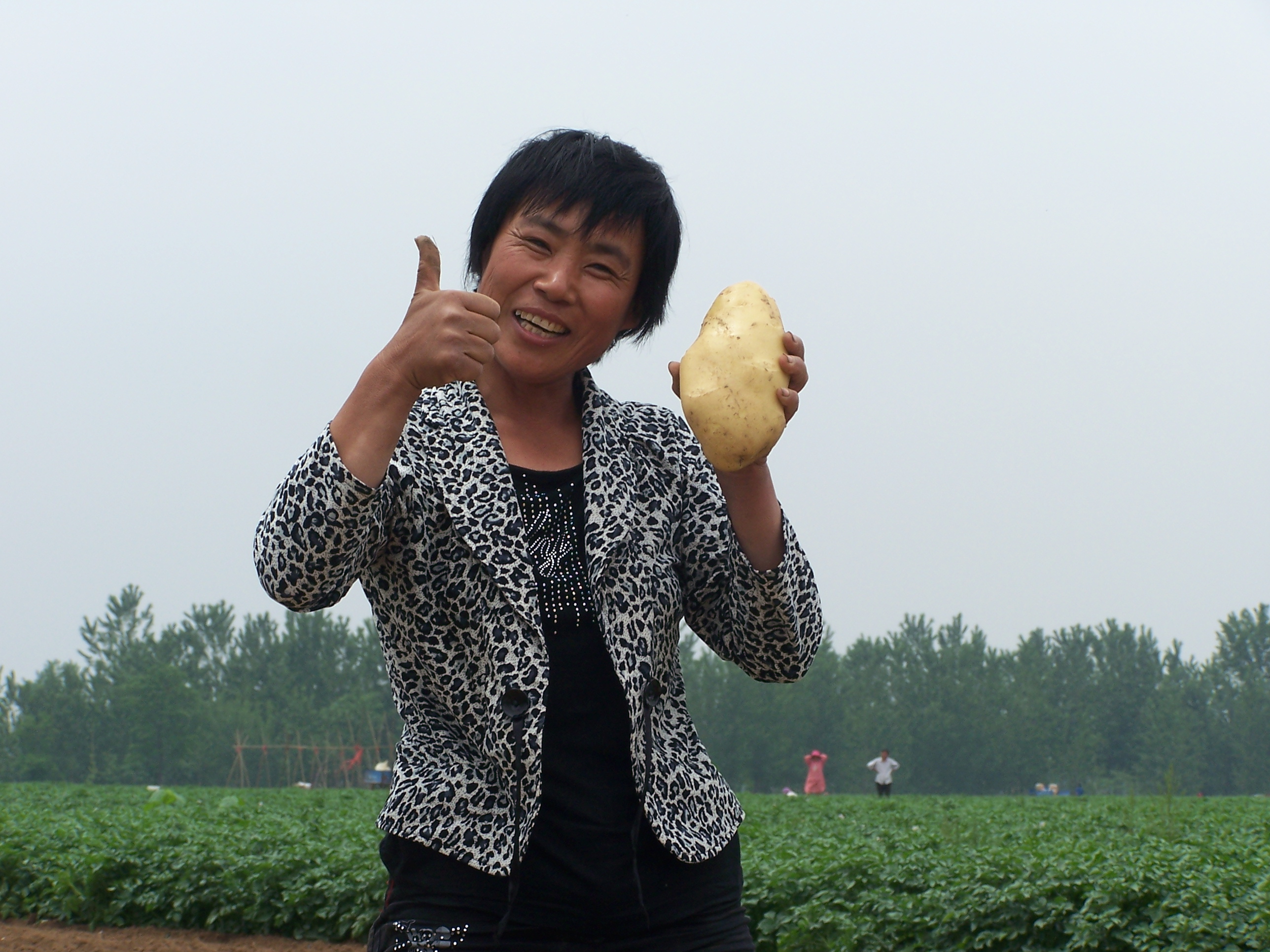 点击在新窗口中打开