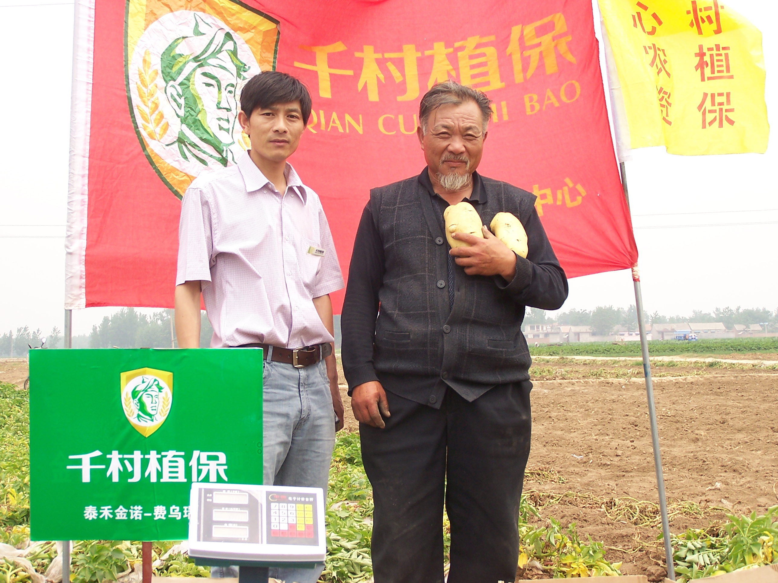 点击在新窗口中打开