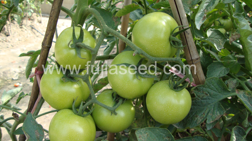 点击在新窗口中打开