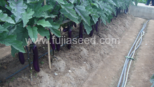 点击在新窗口中打开