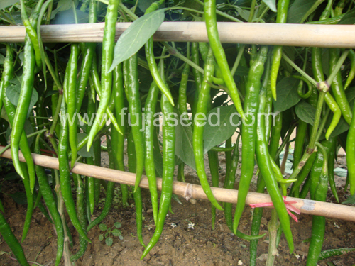 点击在新窗口中打开