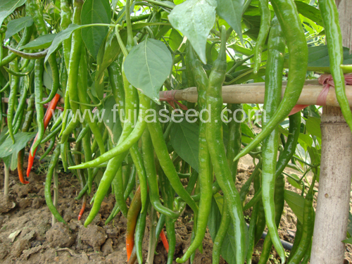 点击在新窗口中打开