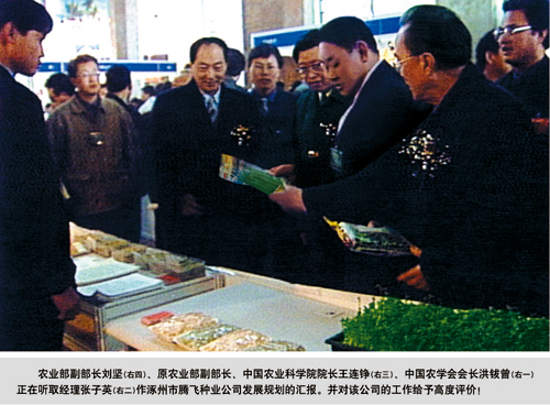 点击在新窗口中打开