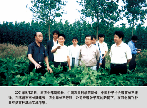 点击在新窗口中打开