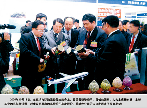 点击在新窗口中打开