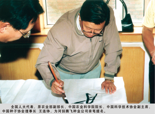 点击在新窗口中打开