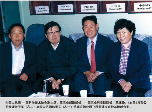 点击在新窗口中打开