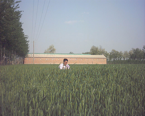 点击在新窗口中打开