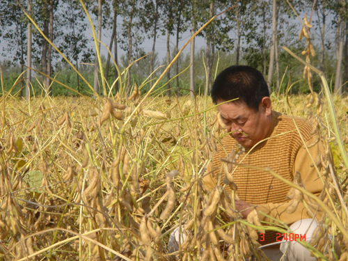 点击在新窗口中打开